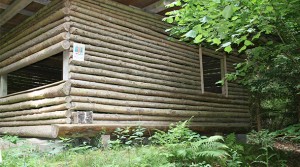 news_waldkindergarten_burgebrach_2014